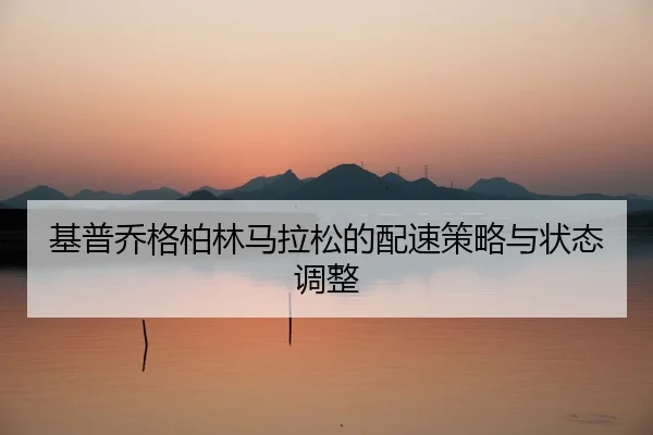 ji-pu-qiao-ge-bo-lin-ma-la-song-de-pei-su-ce-lve-yu-zhuang-tai-tiao-zheng-2-568.jpg