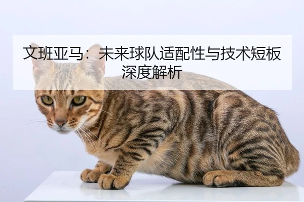 文班亚马：未来球队适配性与技术短板深度解析