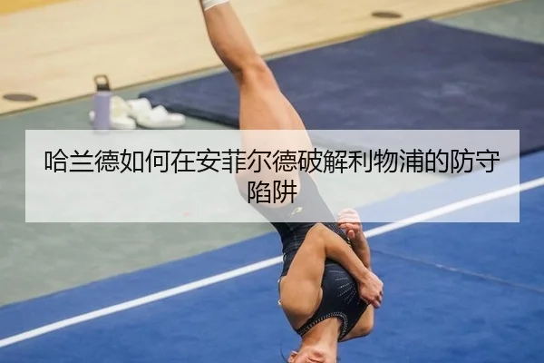 ha-lan-de-ru-he-zai-an-fei-er-de-po-jie-li-wu-pu-de-fang-shou-xian-jing-2-160.jpg