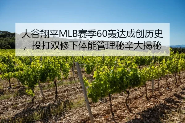 大谷翔平MLB赛季60轰达成创历史，投打双修下体能管理秘辛大揭秘