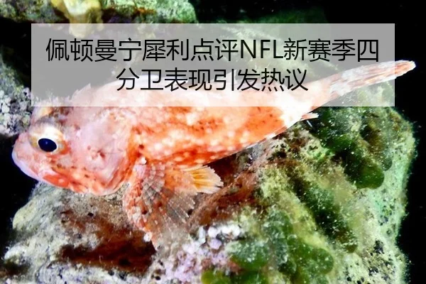 佩顿曼宁犀利点评NFL新赛季四分卫表现引发热议